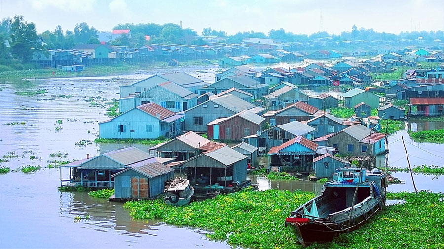 Chau Doc market is often called the capital of salted fish (Vietnamese people call it Mắm), where you can learn about the seventy different kinds of Mắm made from freshwater fish.