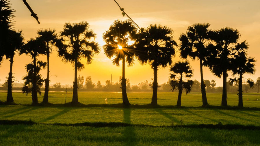 Chau Doc is one of the few cities containing both rivers and mountains in the Mekong delta, providing active visitors with an exciting opportunity to enjoy both climbing and boating tours.