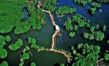 can-gio-nature-park-vietlotus