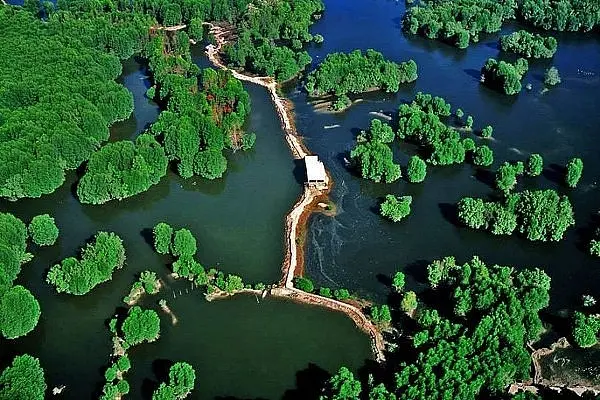 can-gio-nature-park-vietlotus